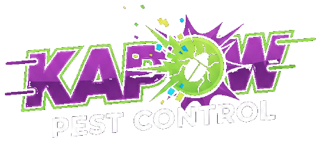Kapow Pest Control